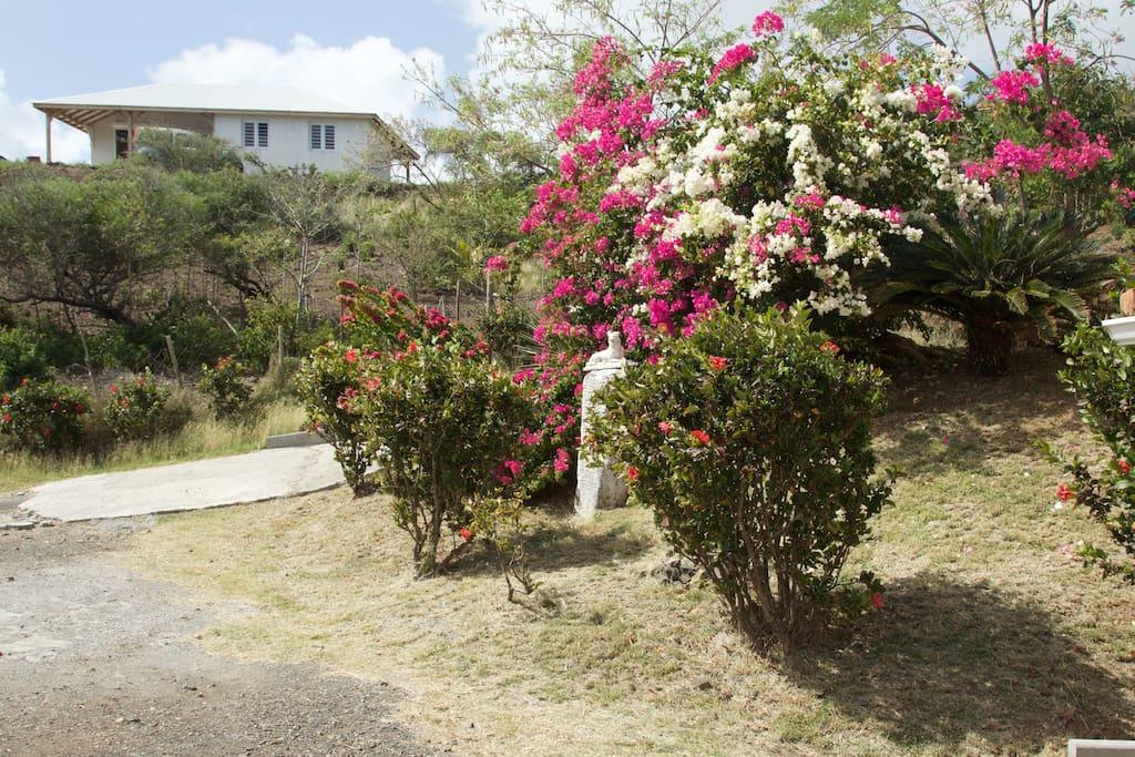 Appartement Vacances Goyave Cap Chevalier Екстериор снимка